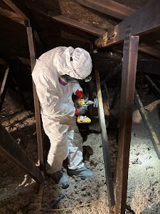 Mesa Restoration place picture